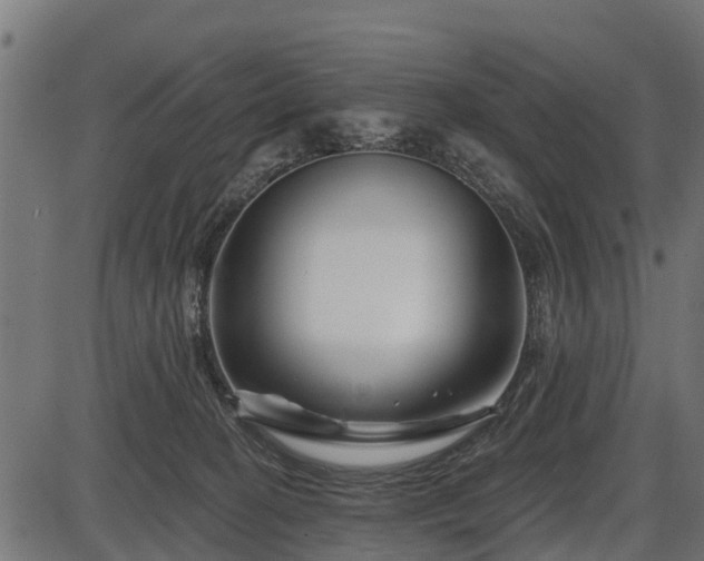 X0000086300274200704091029