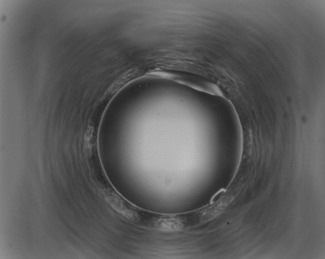 X0000086300275200704091029