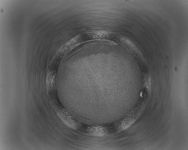 X0000086300276200704091029