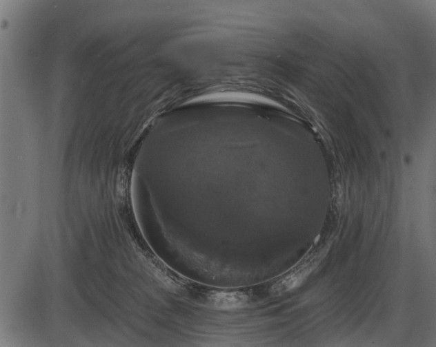 X0000086300277200704091029