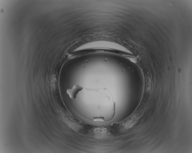 X0000086300279200704091029