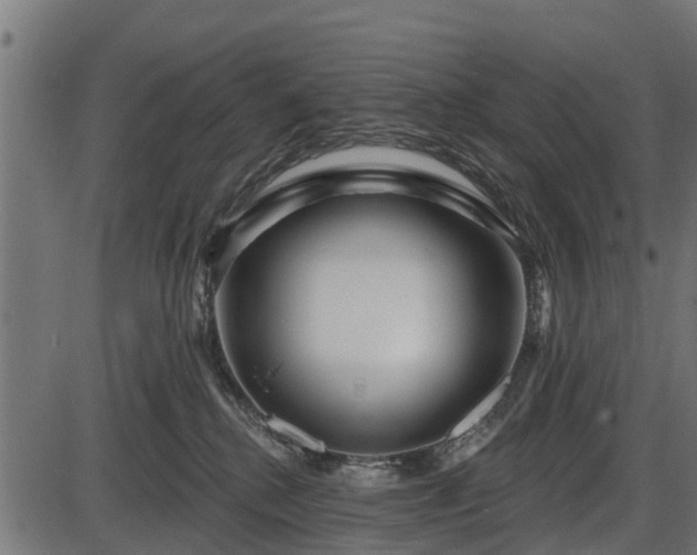 X0000086300280200704091029