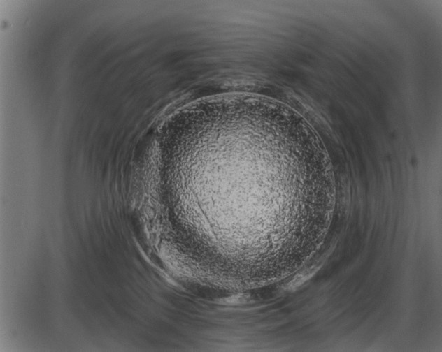 X0000086300281200704091029