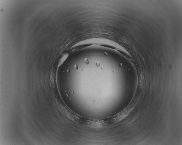 X0000086300282200704091029