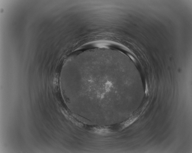 X0000086300284200704091029