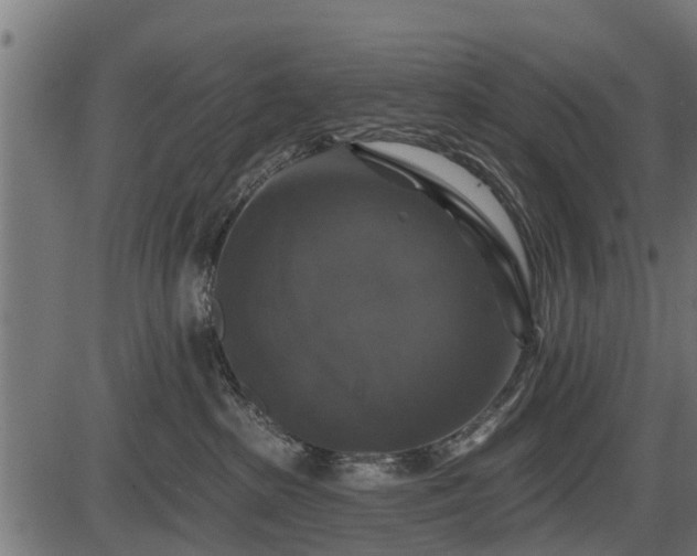 X0000086300285200704091029