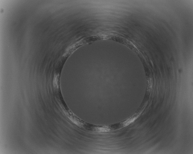 X0000086300286200704091029