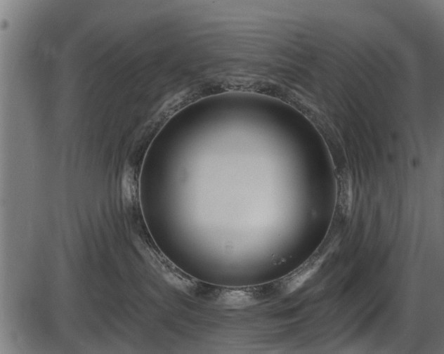 X0000086300287200704091029