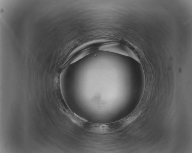 X0000086300288200704091029