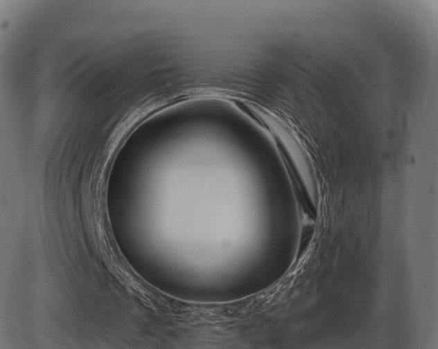 X0000086300289200704091028