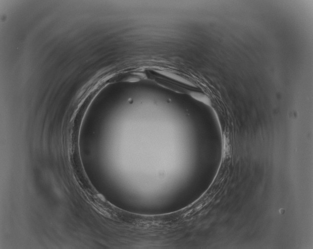 X0000086300291200704091028