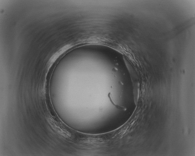 X0000086300292200704091028