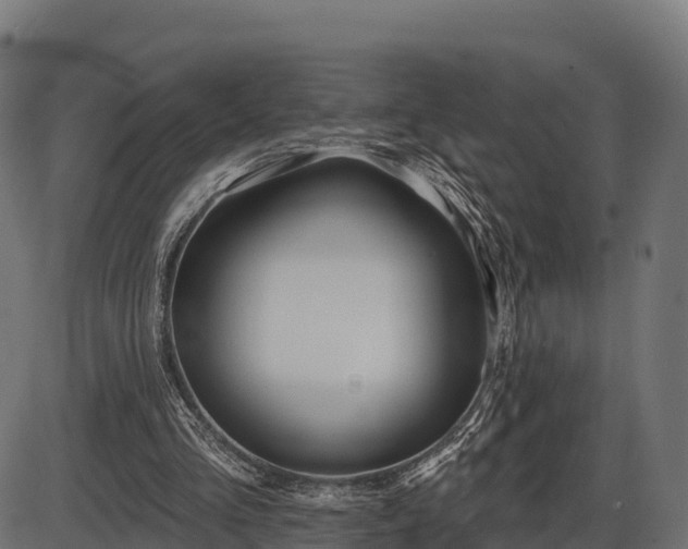 X0000086300293200704091028