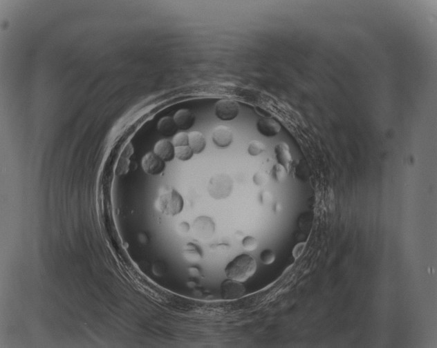 X0000086300294200704091028