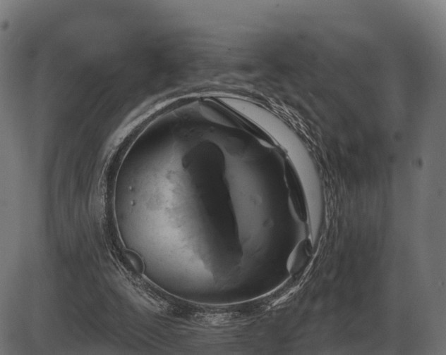 X0000086300295200704091028