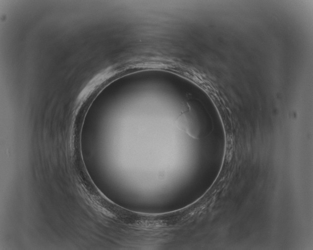 X0000086300296200704091028