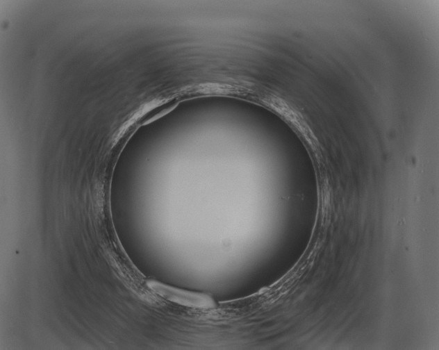 X0000086300297200704091028