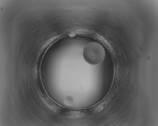 X0000086300298200704091028