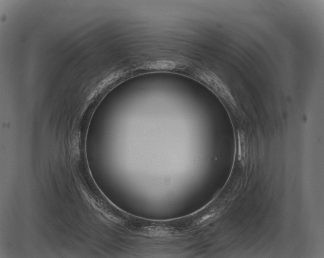 X0000086300300200704091028