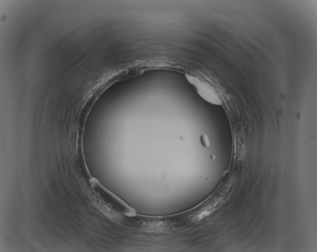 X0000086300301200704091028