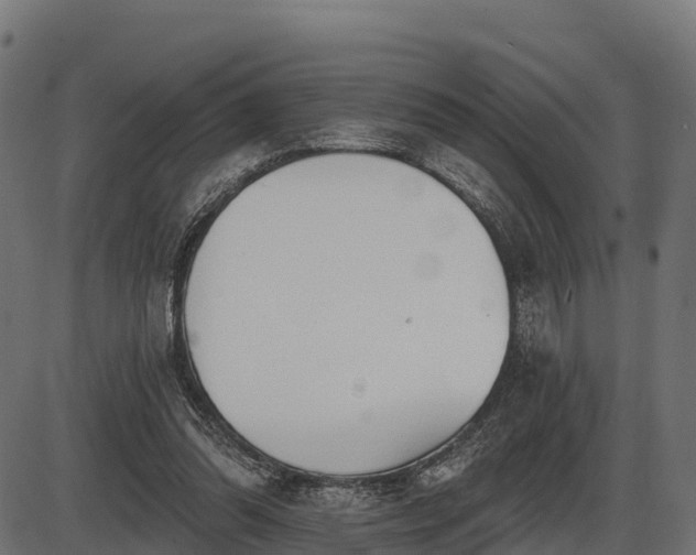 X0000086300302200704091028