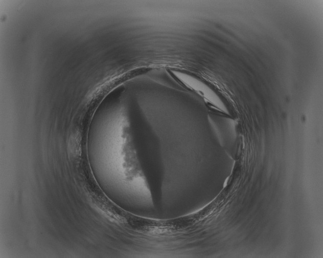 X0000086300303200704091028