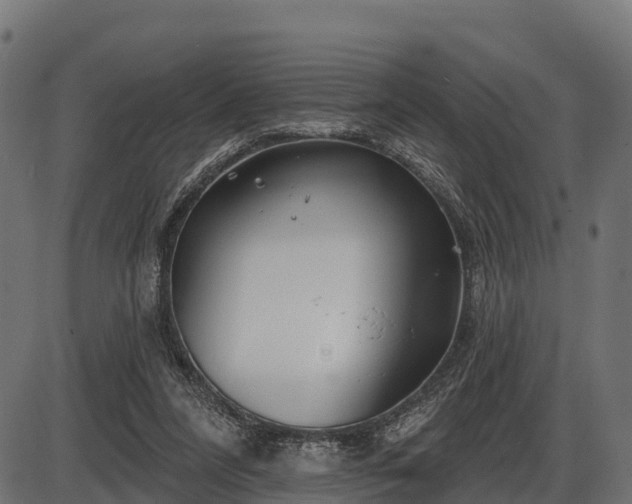 X0000086300304200704091028