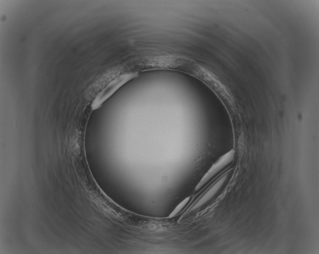 X0000086300305200704091028