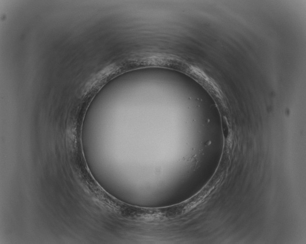 X0000086300306200704091028