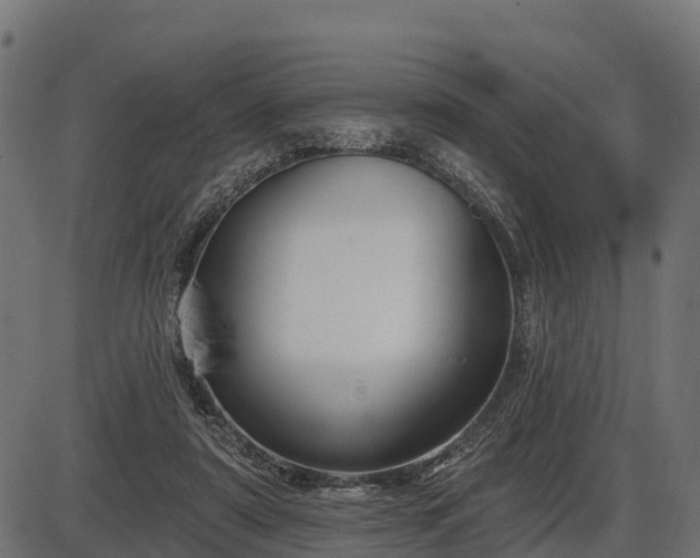 X0000086300307200704091028