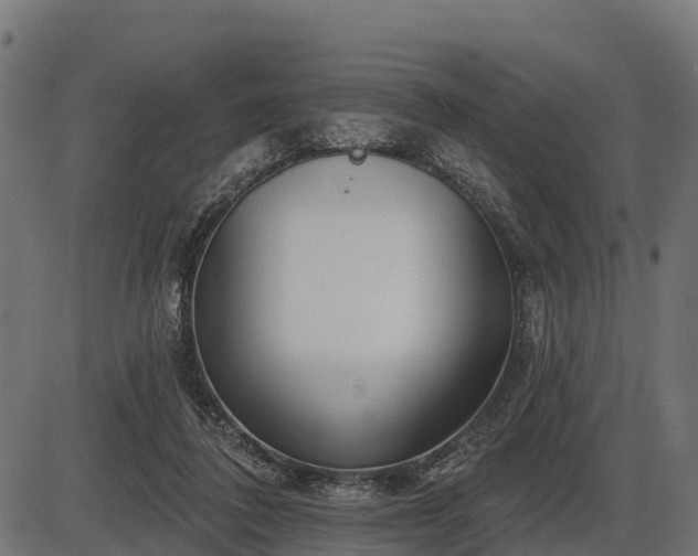 X0000086300308200704091028