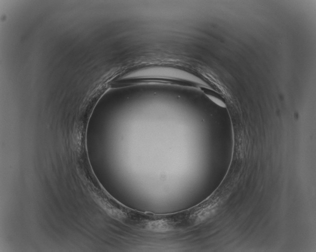 X0000086300309200704091028