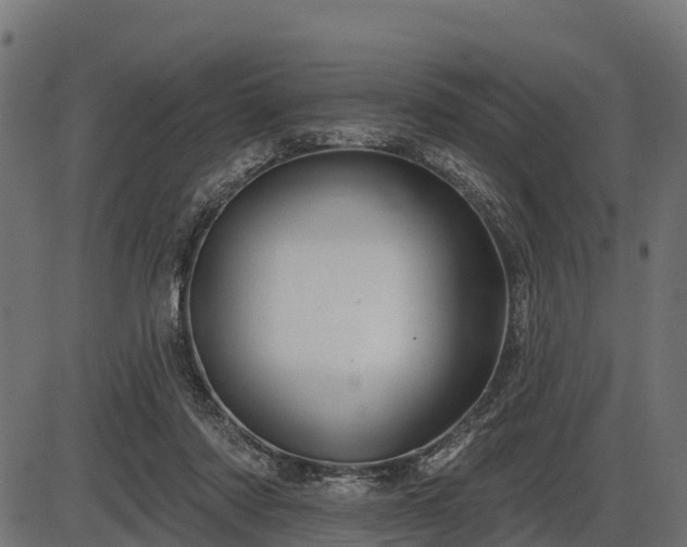 X0000086300310200704091028