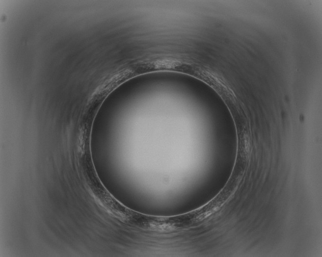 X0000086300311200704091028