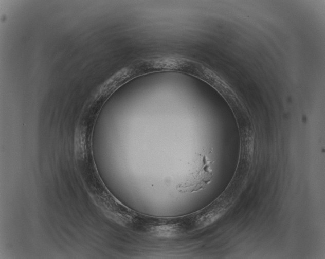 X0000086300312200704091028