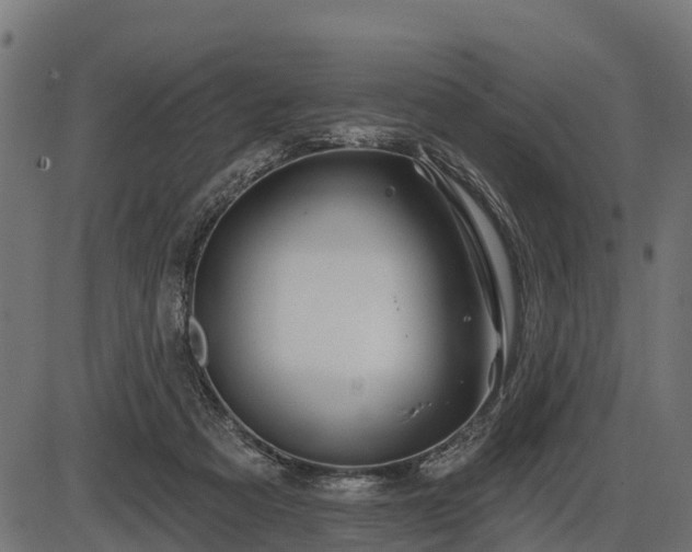 X0000086300313200704091028