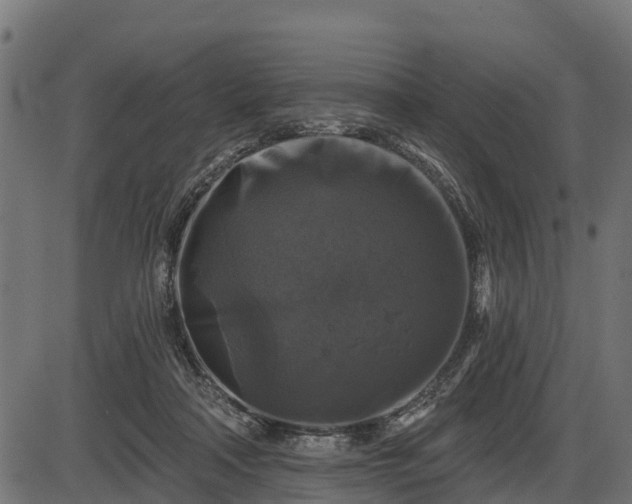 X0000086300314200704091028