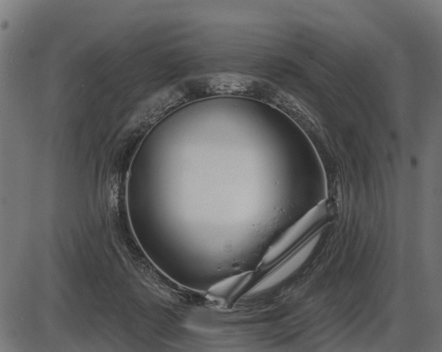 X0000086300315200704091028