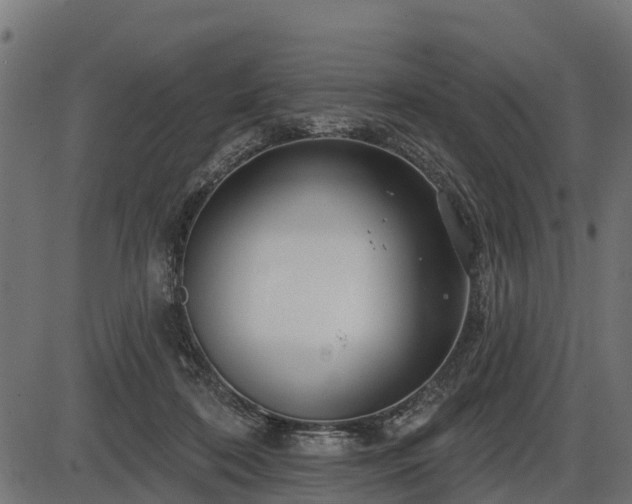 X0000086300316200704091028