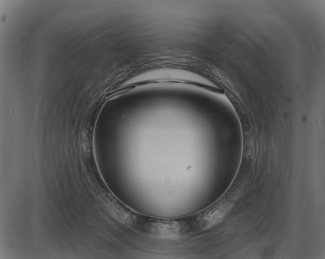 X0000086300317200704091028