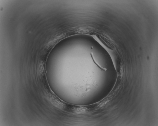 X0000086300318200704091028