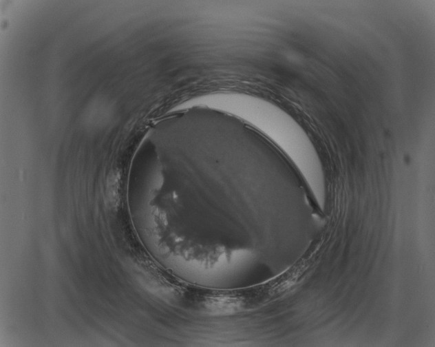 X0000086300319200704091028