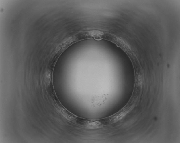 X0000086300321200704091028