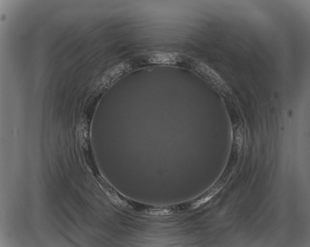 X0000086300322200704091028