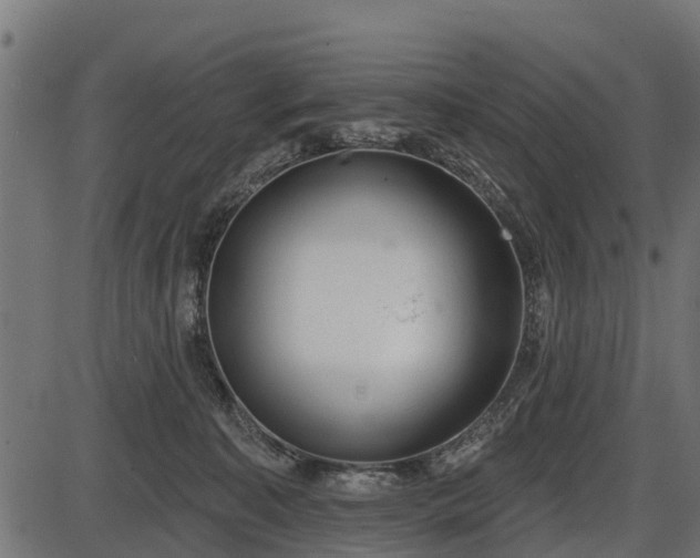 X0000086300323200704091028