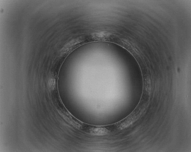 X0000086300324200704091028