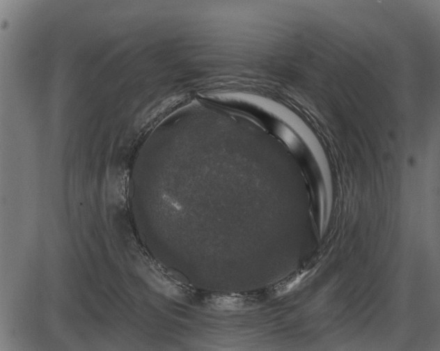 X0000086300325200704091028