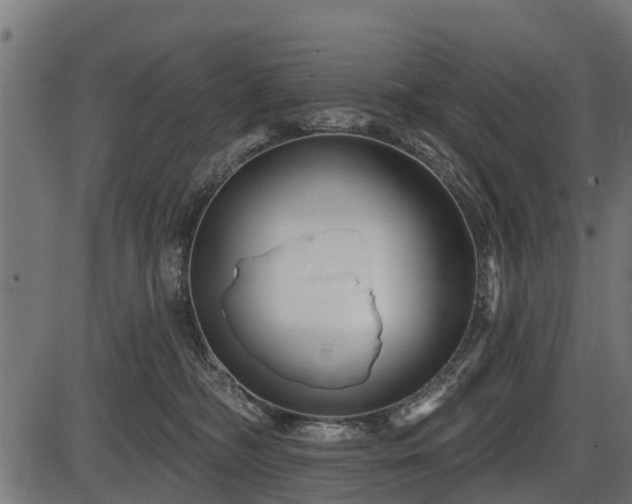 X0000086300326200704091028