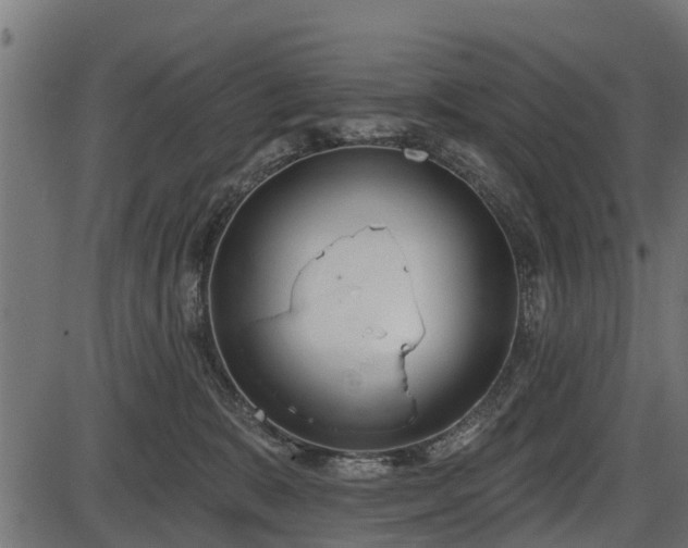 X0000086300327200704091028