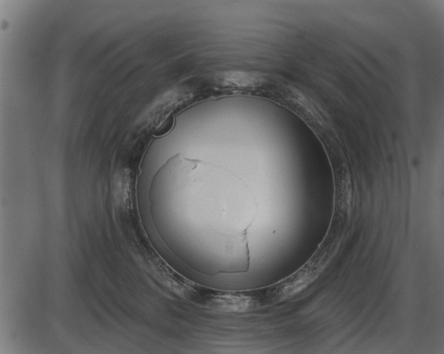 X0000086300328200704091028